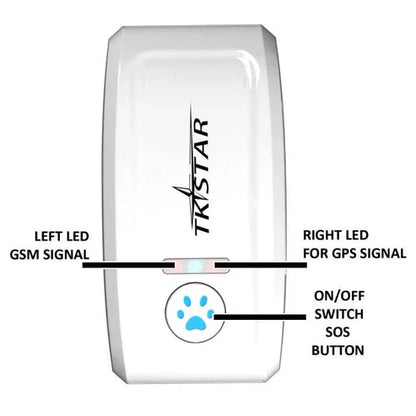 Cat GPS Tracker Locator Device for Pets ( UAE Delivery Time: 1-3 Days )